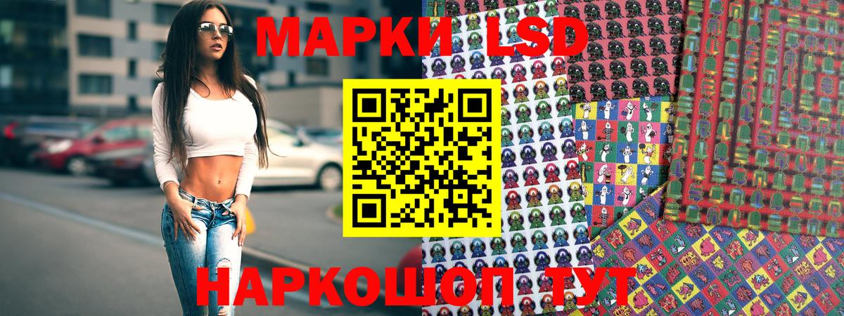 A PVP Мичуринск