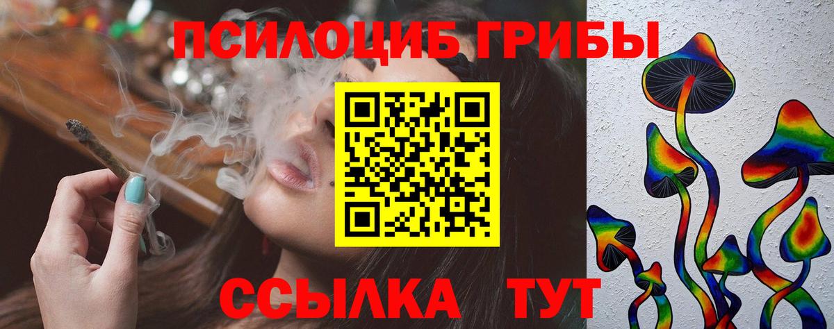 Псилоцибиновые грибы MAGIC MUSHROOMS  Вход с VPN  Мичуринск  Галлюциногенные грибы Psilocybe 